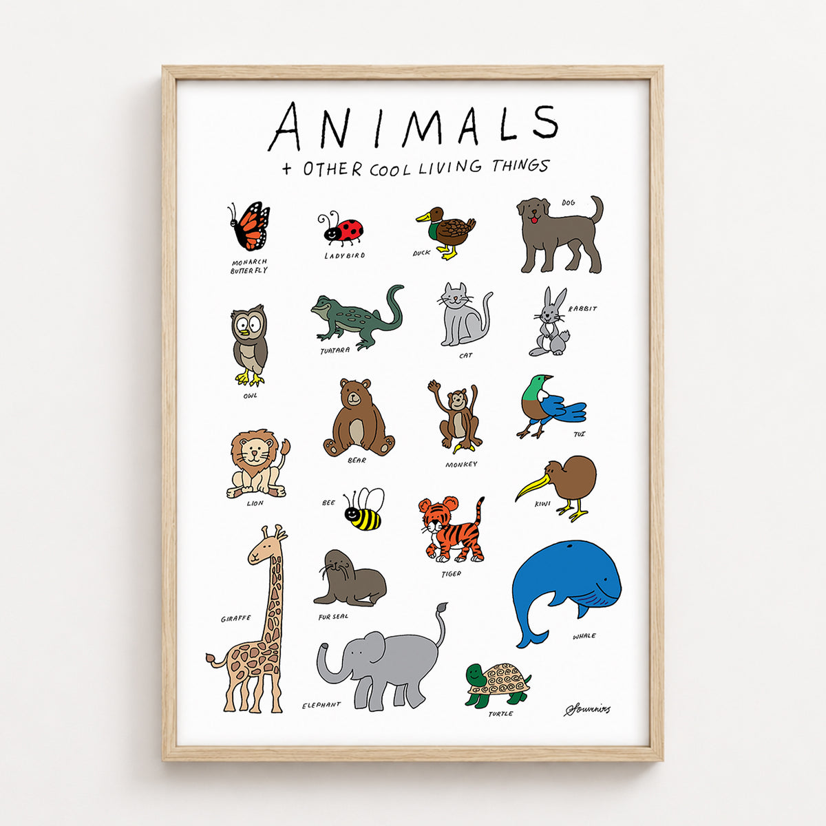 Animals