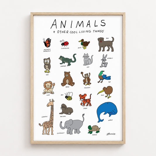 Animals